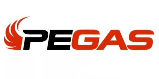 Логотип Pegas